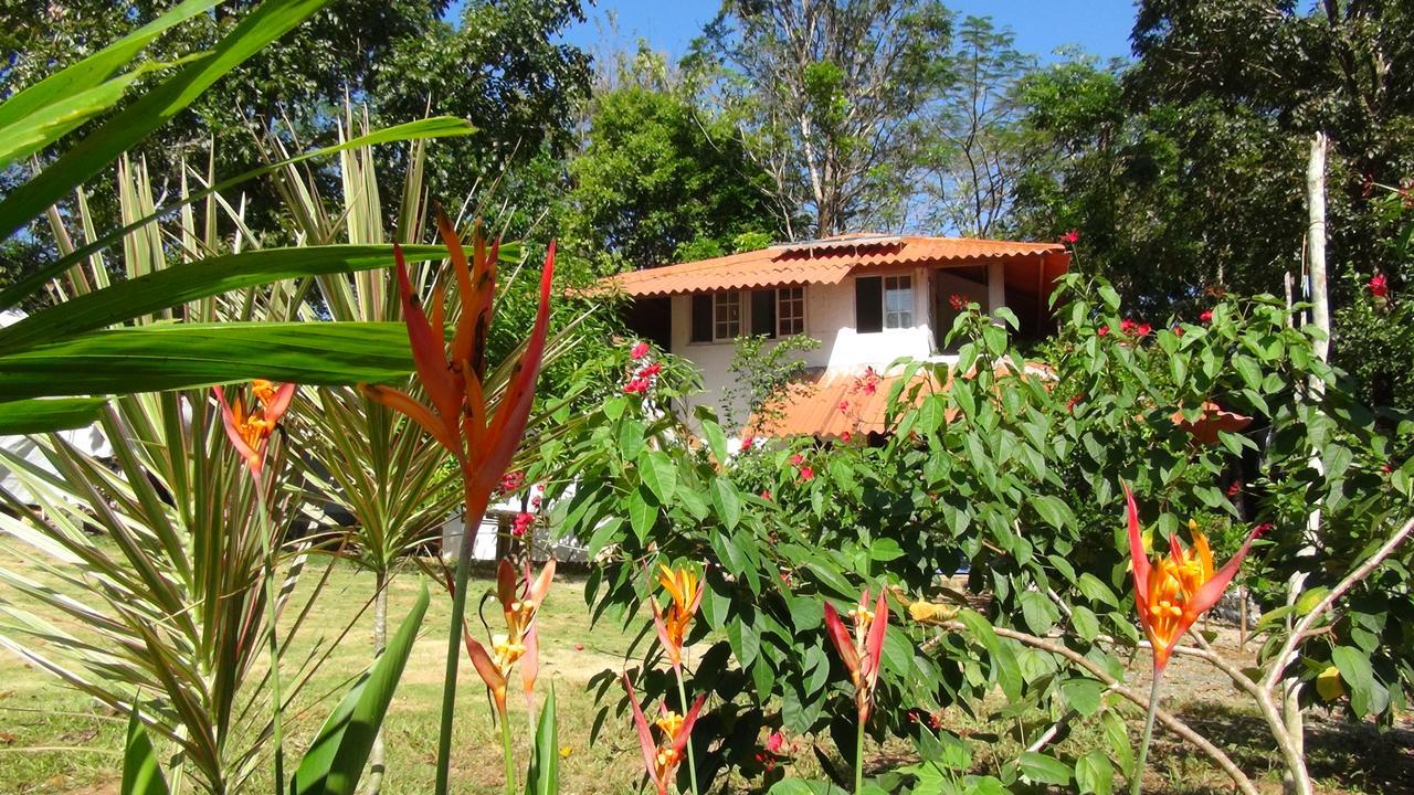Cebaco Sunrise Lodge Isla Cebaco エクステリア 写真