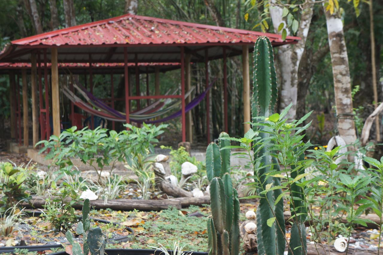 Cebaco Sunrise Lodge Isla Cebaco エクステリア 写真